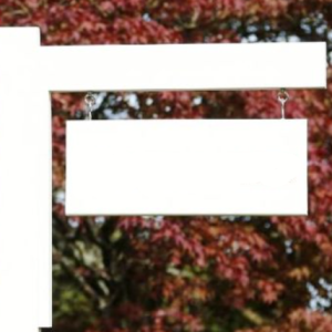 Custom House Sign Test